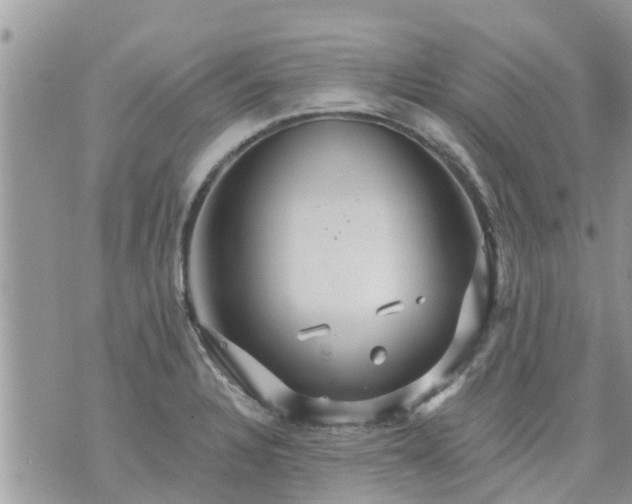 X0000073731328200608101920