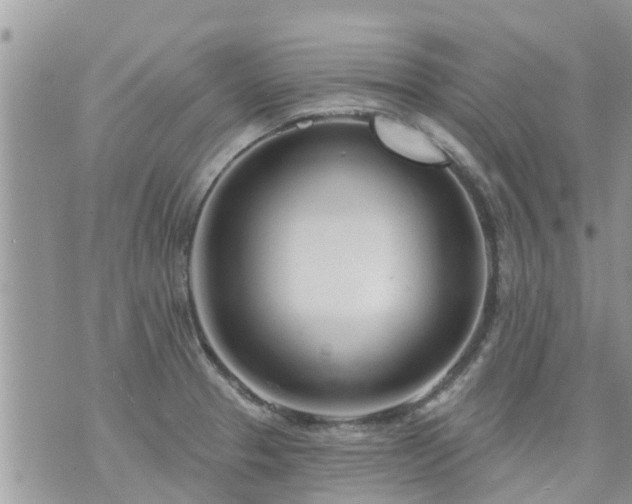 X0000073731329200608101920