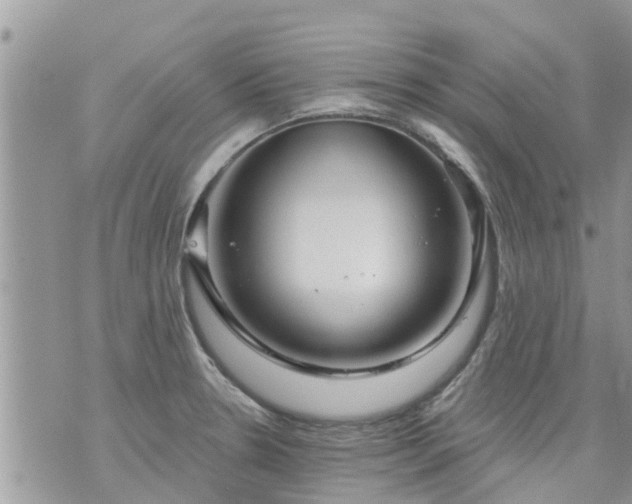 X0000073731330200608101920