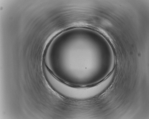 X0000073731331200608101920