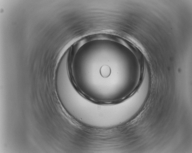 X0000073731332200608101920