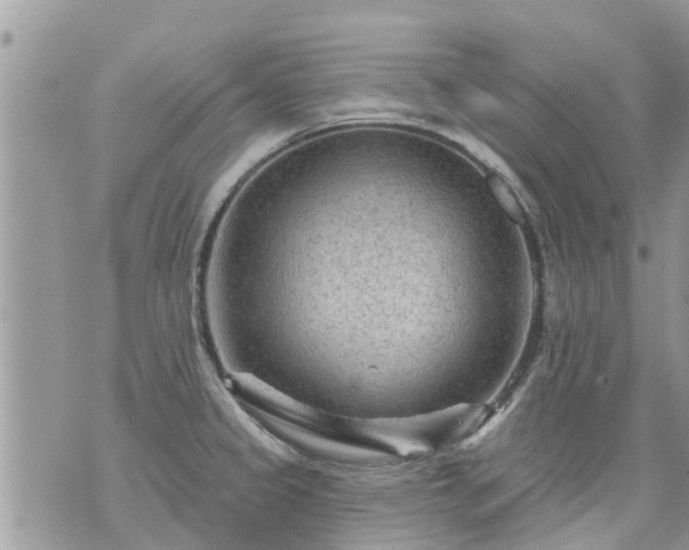 X0000073731333200608101920