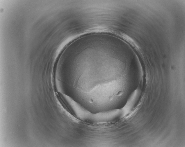 X0000073731334200608101920