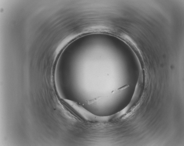 X0000073731336200608101920