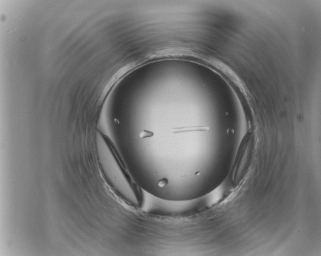 X0000073731337200608101920