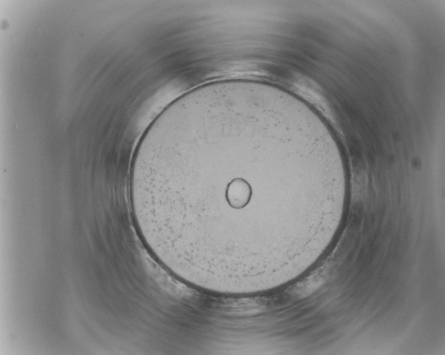 X0000073731338200608101920