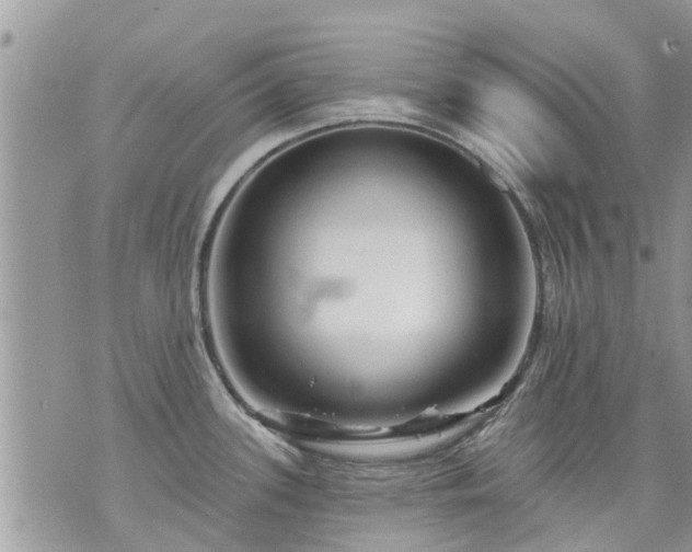 X0000073731339200608101920