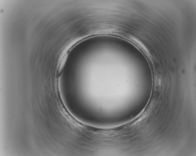 X0000073731340200608101920