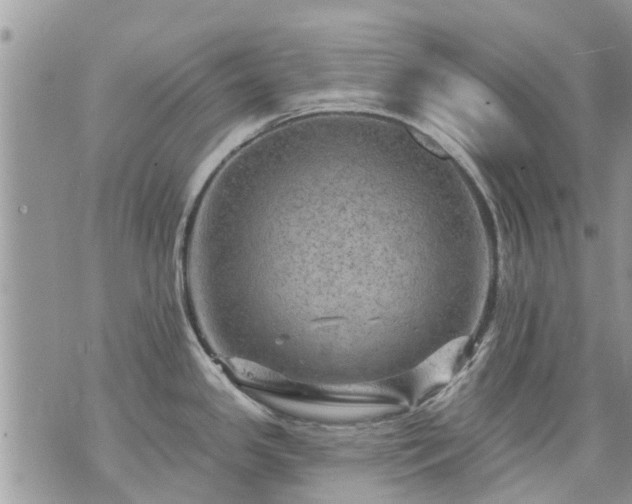 X0000073731341200608101920