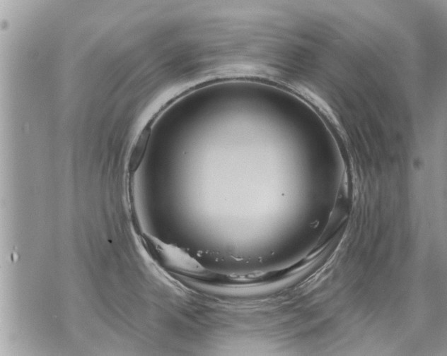 X0000073731342200608101920