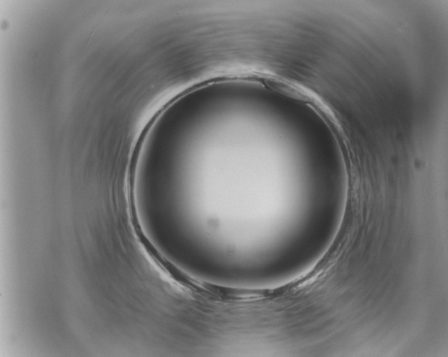 X0000073731343200608101920