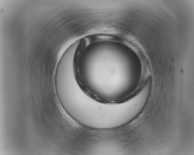 X0000073731344200608101920