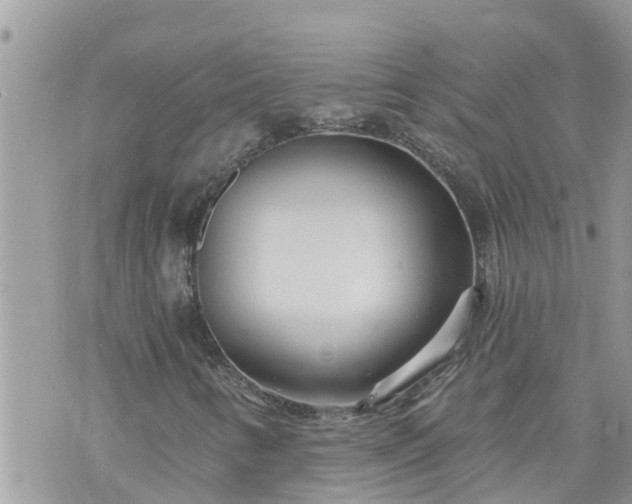 X0000073731346200608101919