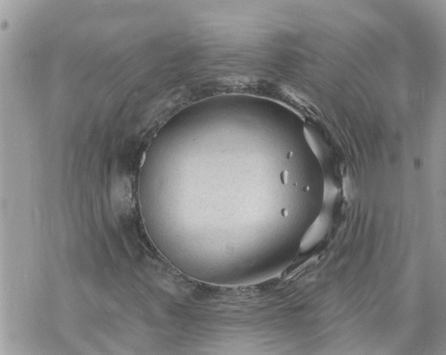 X0000073731347200608101919