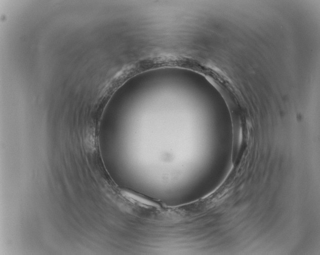 X0000073731348200608101919