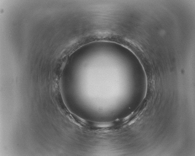 X0000073731349200608101919