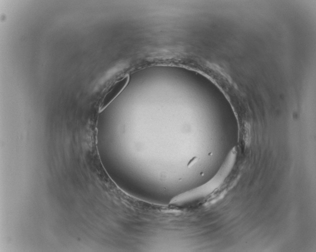 X0000073731350200608101919