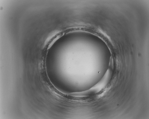 X0000073731352200608101919