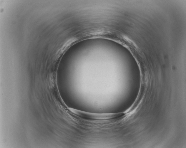 X0000073731353200608101919