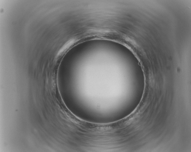 X0000073731354200608101919