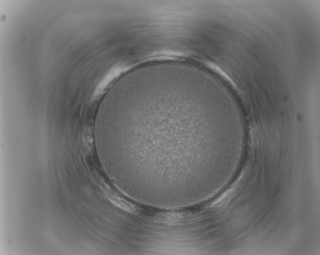 X0000073731355200608101919