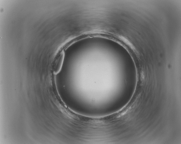 X0000073731356200608101919