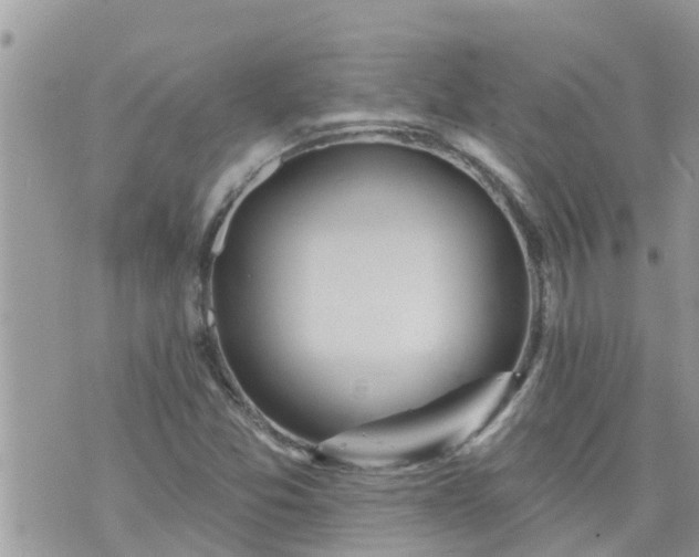 X0000073731357200608101919