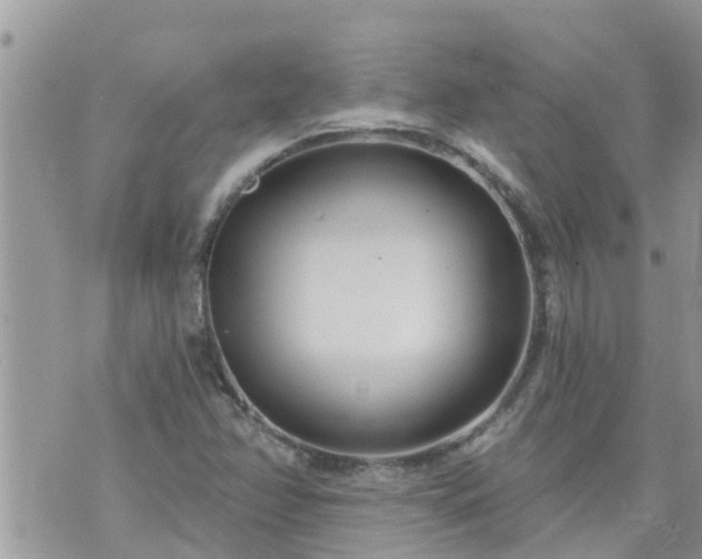 X0000073731358200608101919