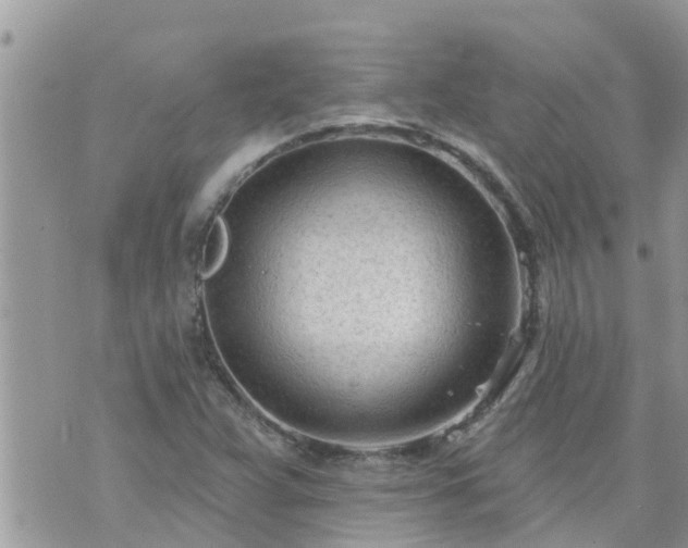 X0000073731359200608101919