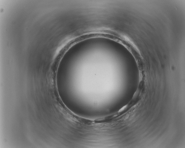 X0000073731360200608101919