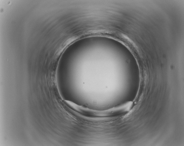 X0000073731361200608101919