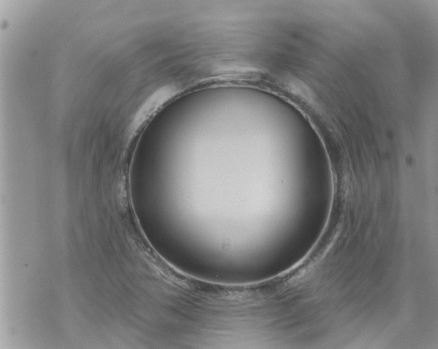 X0000073731362200608101919