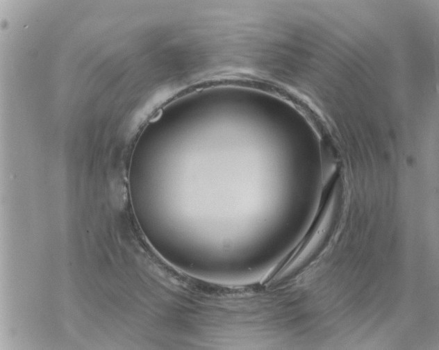 X0000073731363200608101919