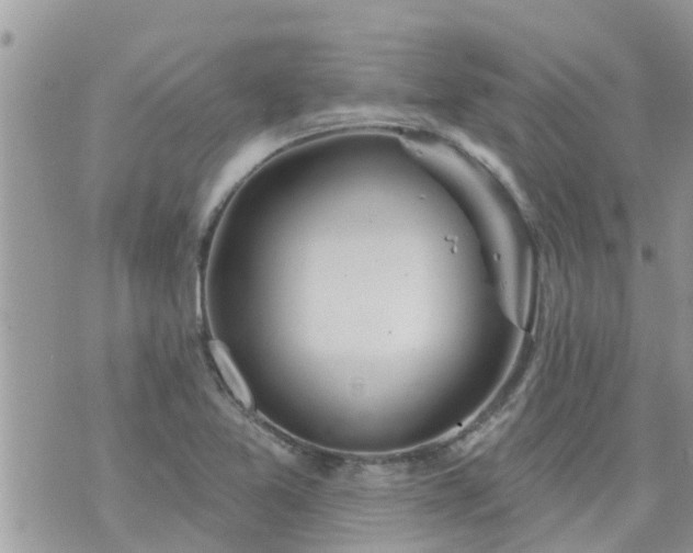 X0000073731365200608101919