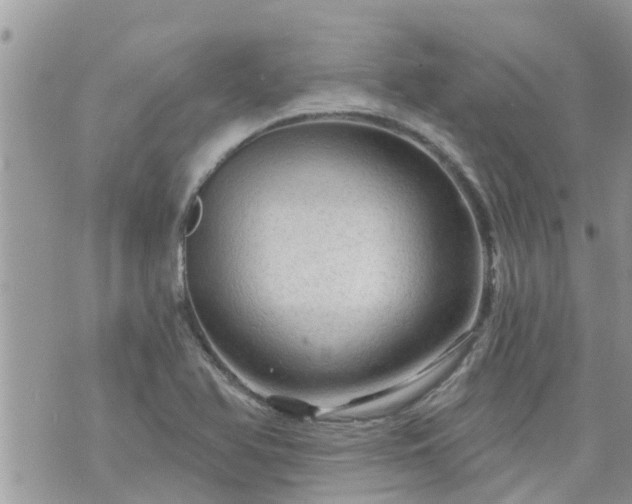 X0000073731366200608101919