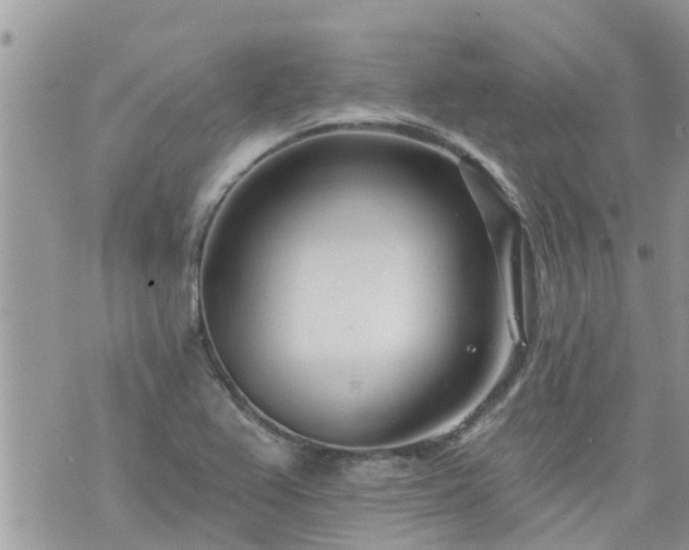 X0000073731367200608101919