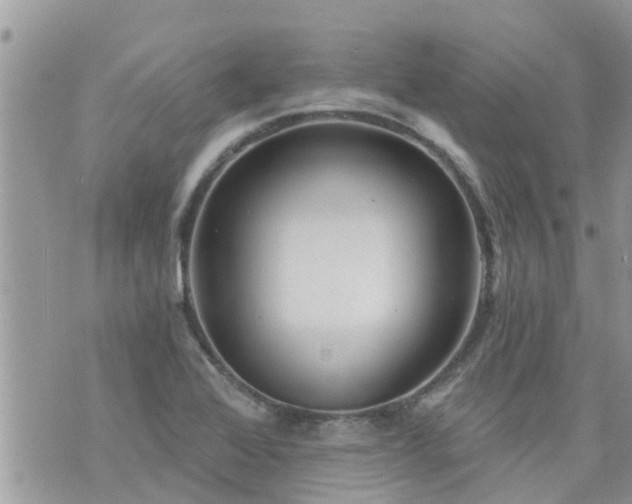 X0000073731368200608101919