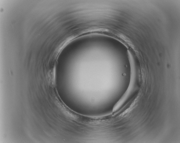 X0000073731369200608101919