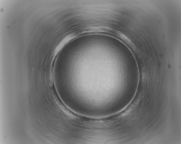 X0000073731370200608101919