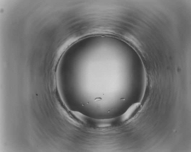 X0000073731371200608101919