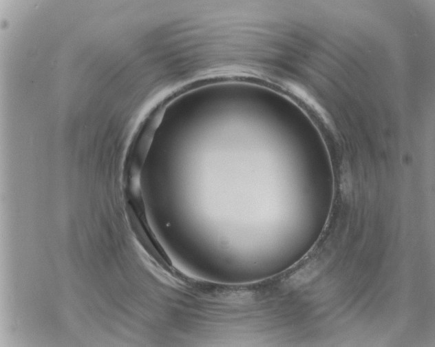 X0000073731372200608101919