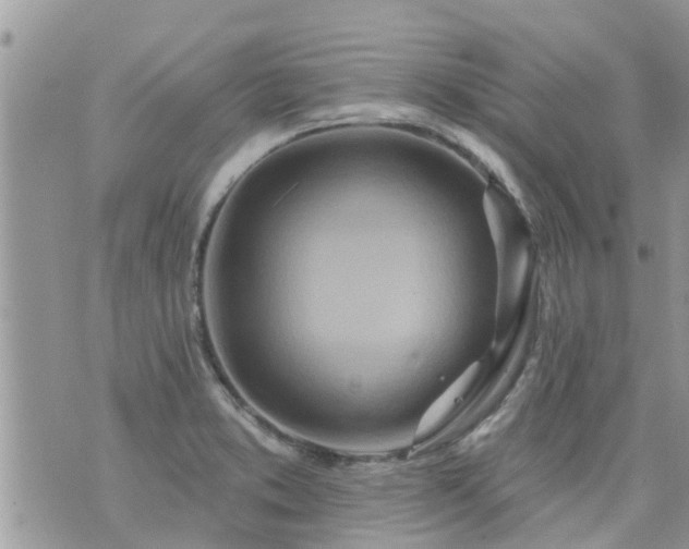 X0000073731373200608101919