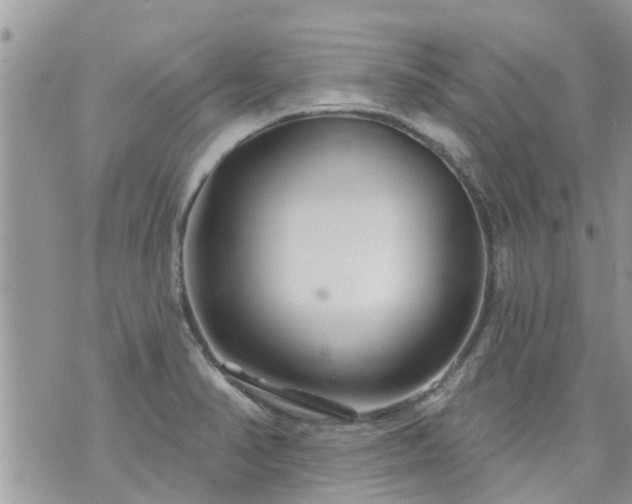 X0000073731374200608101919