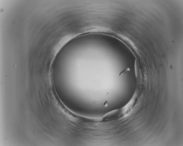 X0000073731375200608101919