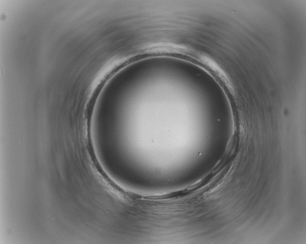 X0000073731376200608101919