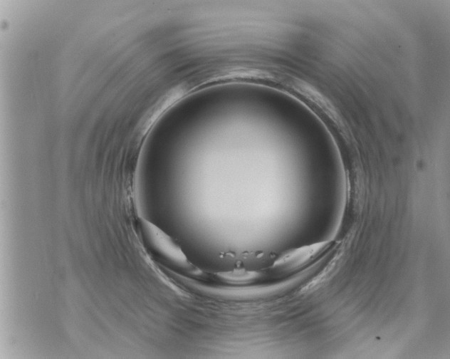 X0000073731377200608101919