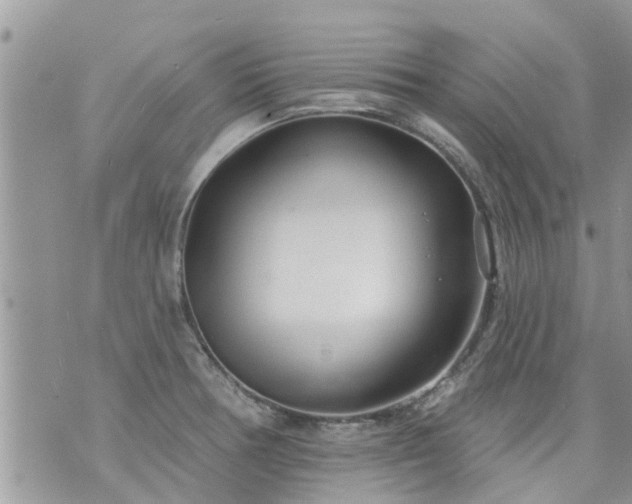 X0000073731378200608101919