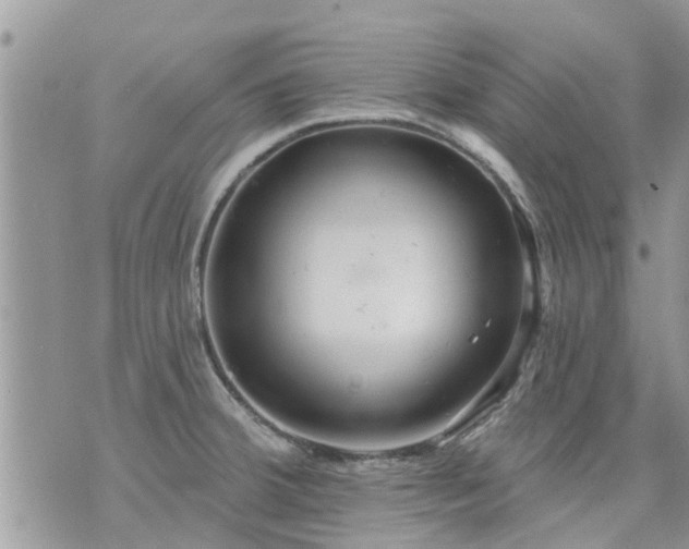 X0000073731380200608101919