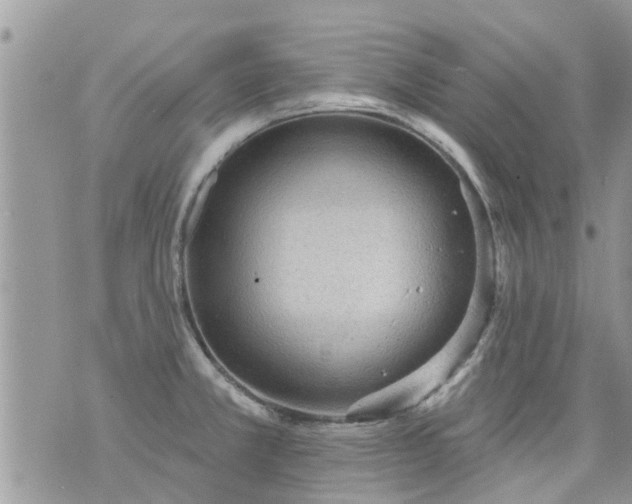 X0000073731381200608101919