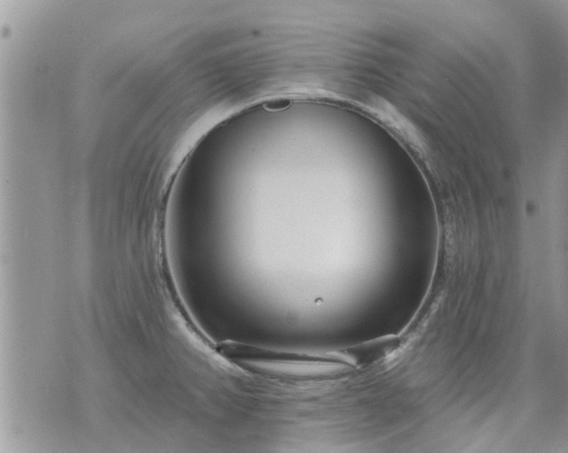 X0000073731382200608101919